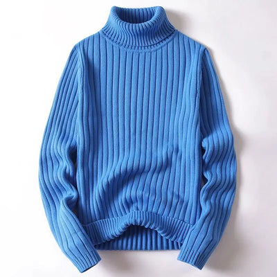 Asher Ribbed Turtleneck