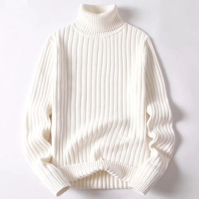 Asher Ribbed Turtleneck