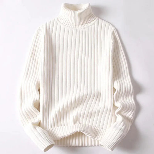 Asher Ribbed Turtleneck
